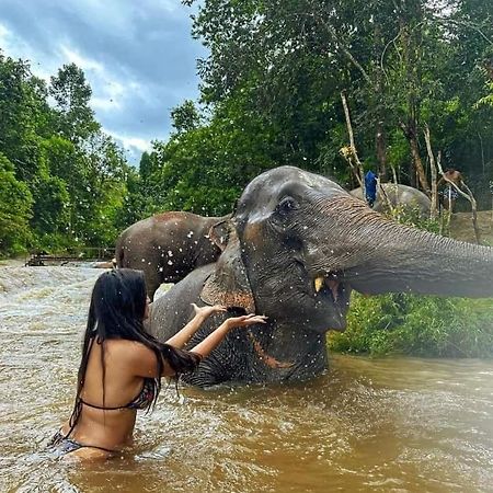 Wild Park Safari Home Stay ウダワラウェ エクステリア 写真
