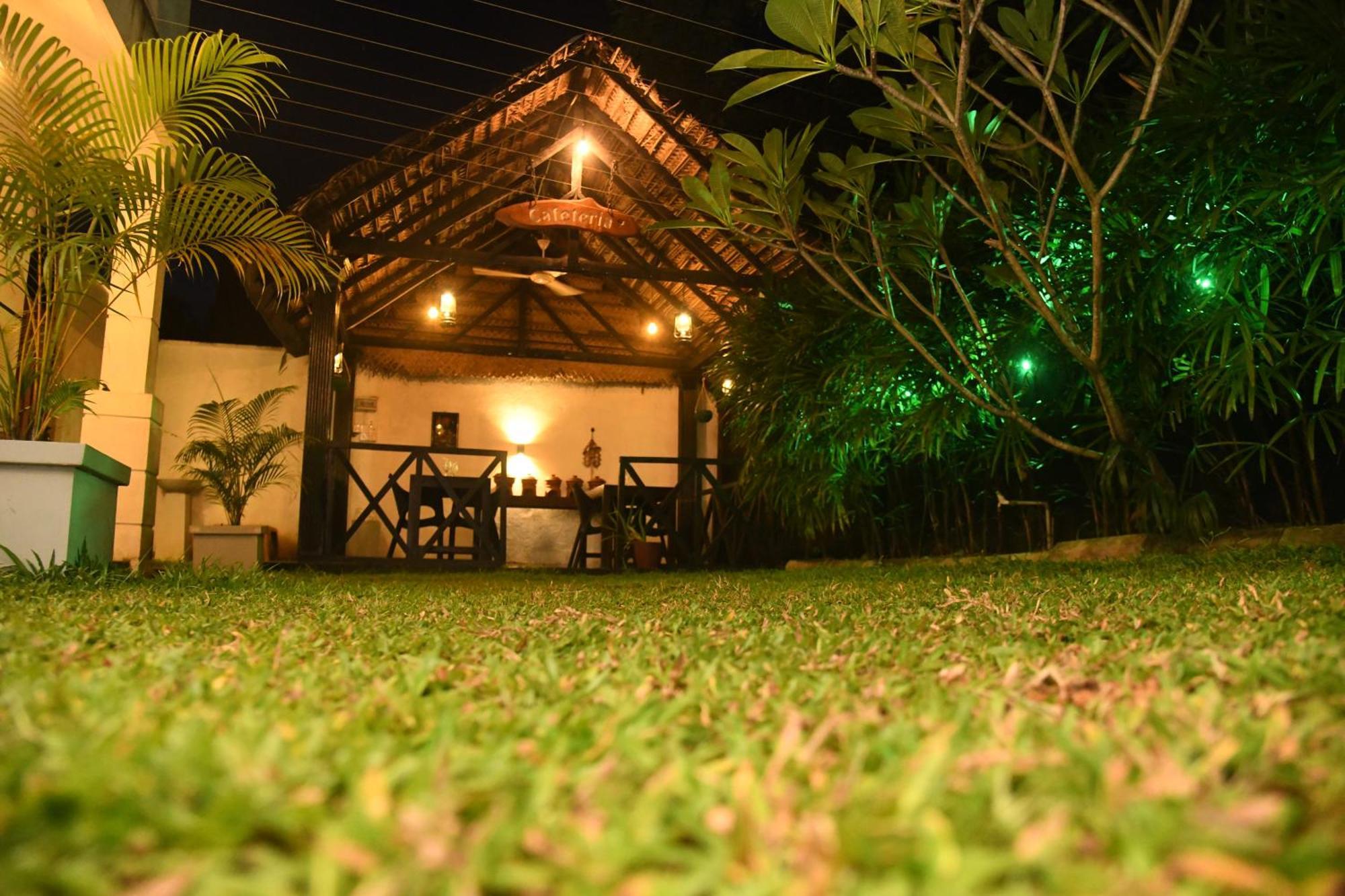 Wild Park Safari Home Stay ウダワラウェ エクステリア 写真