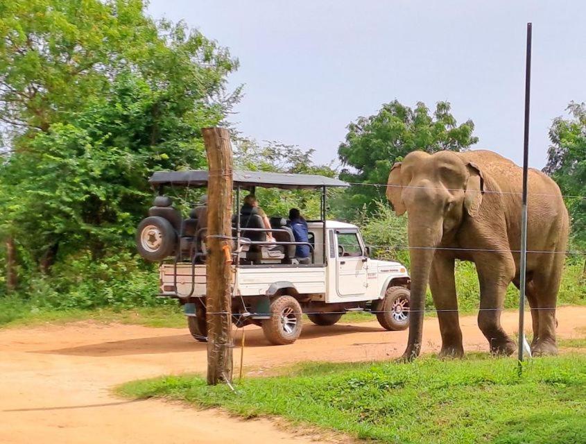 Wild Park Safari Home Stay ウダワラウェ エクステリア 写真