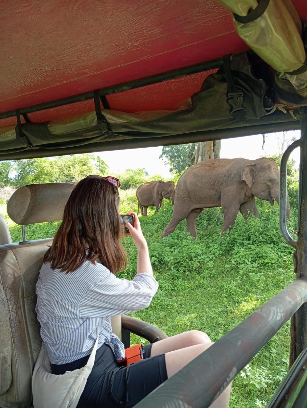 Wild Park Safari Home Stay ウダワラウェ エクステリア 写真