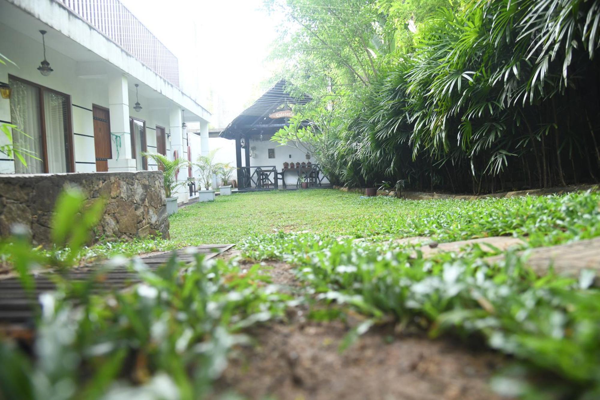Wild Park Safari Home Stay ウダワラウェ エクステリア 写真