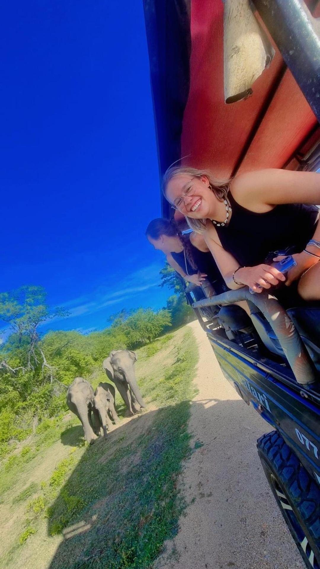 Wild Park Safari Home Stay ウダワラウェ エクステリア 写真