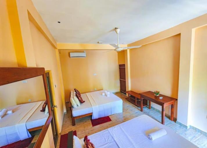 Wild Park Safari Home Stay ウダワラウェ エクステリア 写真